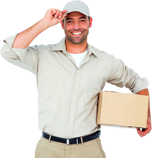 Warehousing & Transportation Expert